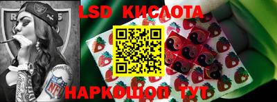 прущие грибы Шахты