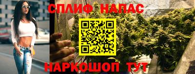 ECSTASY Ярославль