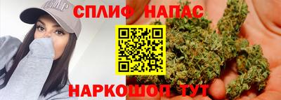 дурь Шелехов