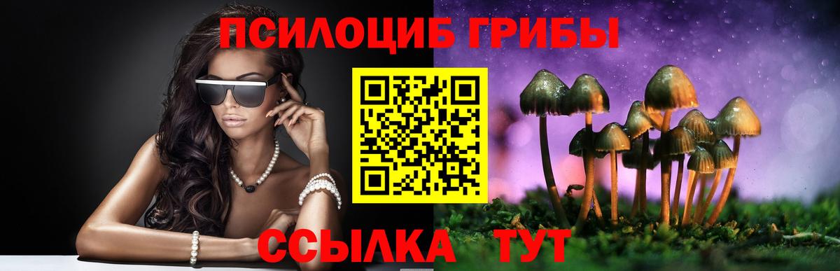 Крымск  Псилоцибиновые грибы Magic Shrooms  Вход с VPN 